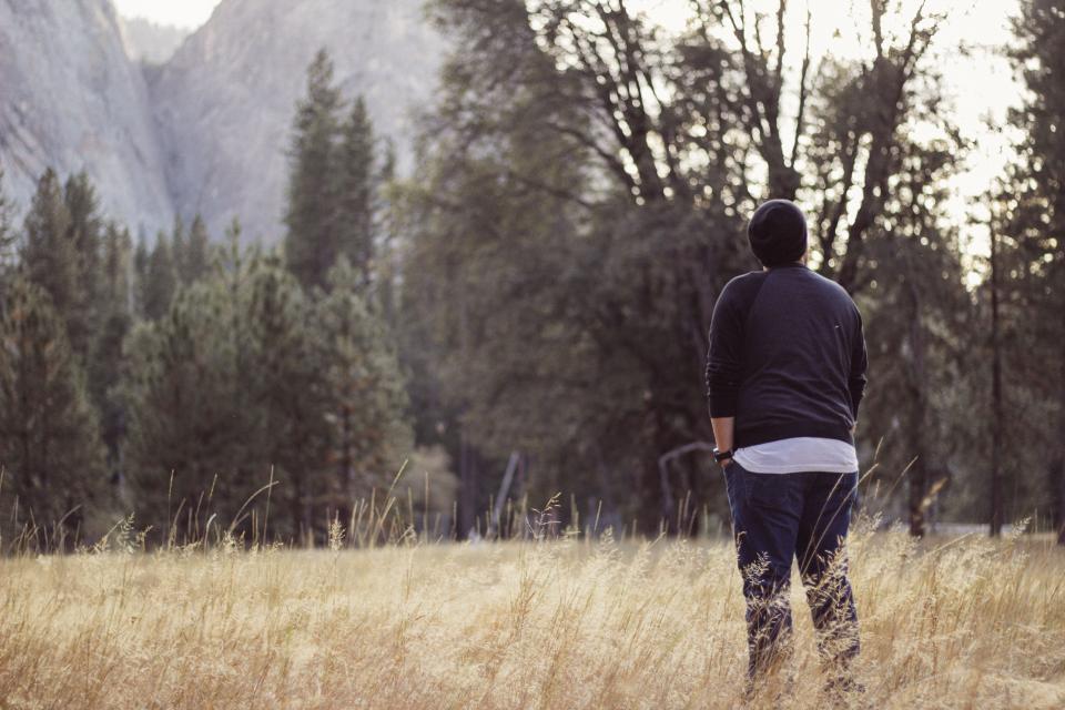 people, man, grass, field, travel, adventure, woods, trees, leaves, green, alone