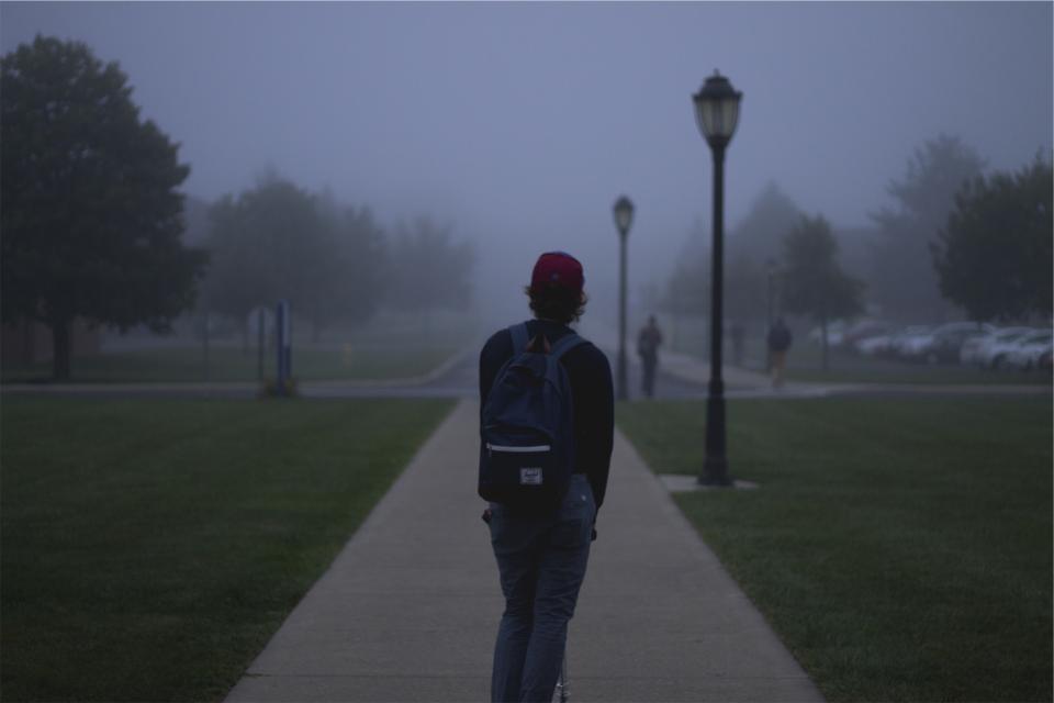 students backpack hat young guy jeans path grass lamp posts parking lot school people