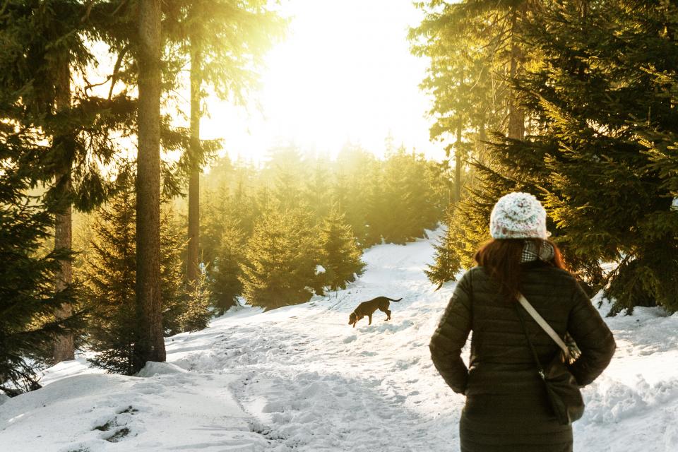 snow winter white cold weather ice trees plants nature people woman travel adventure trek dog woods forest 