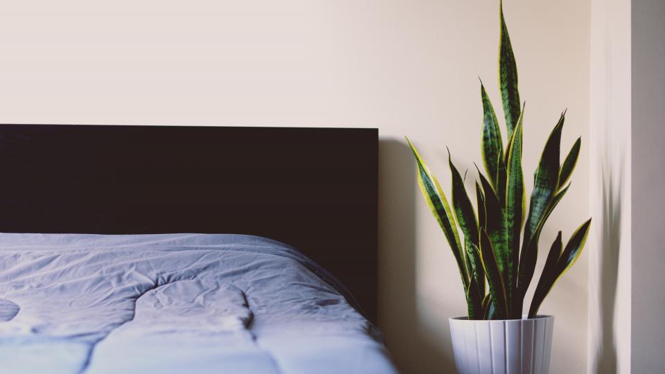 Bed 101: 5 Important Checklists To Follow Before Buying A Bed