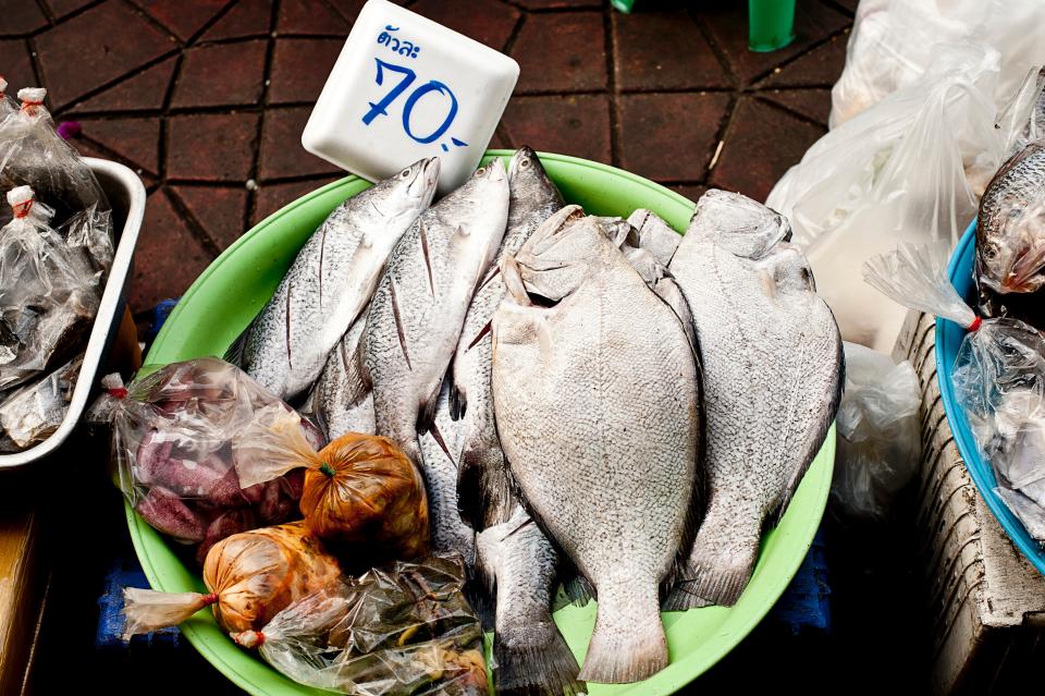 fish, seafood, wet, market, price tag, meat, pack