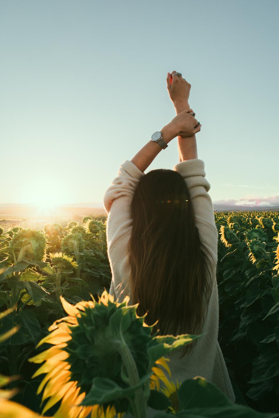 flower, yellow, petal, bloom, garden, plant, nature, autumn, fall, sunflower, people, woman, morning, sun, stretch, watch, accessory