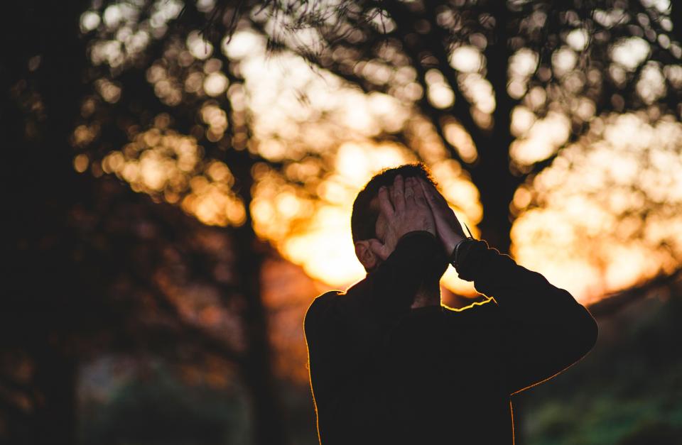 people, man, cry, sad, tree, sunset, bokeh, outdoor, nature