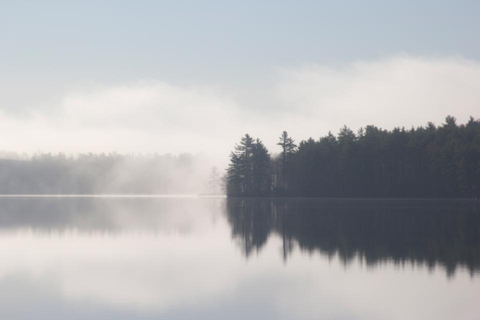 lake water reflection mist trees nature landscape