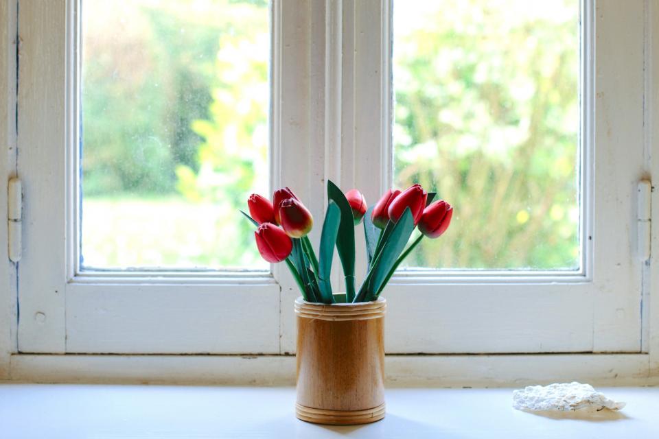 flowers rose windows white red aesthetics design art