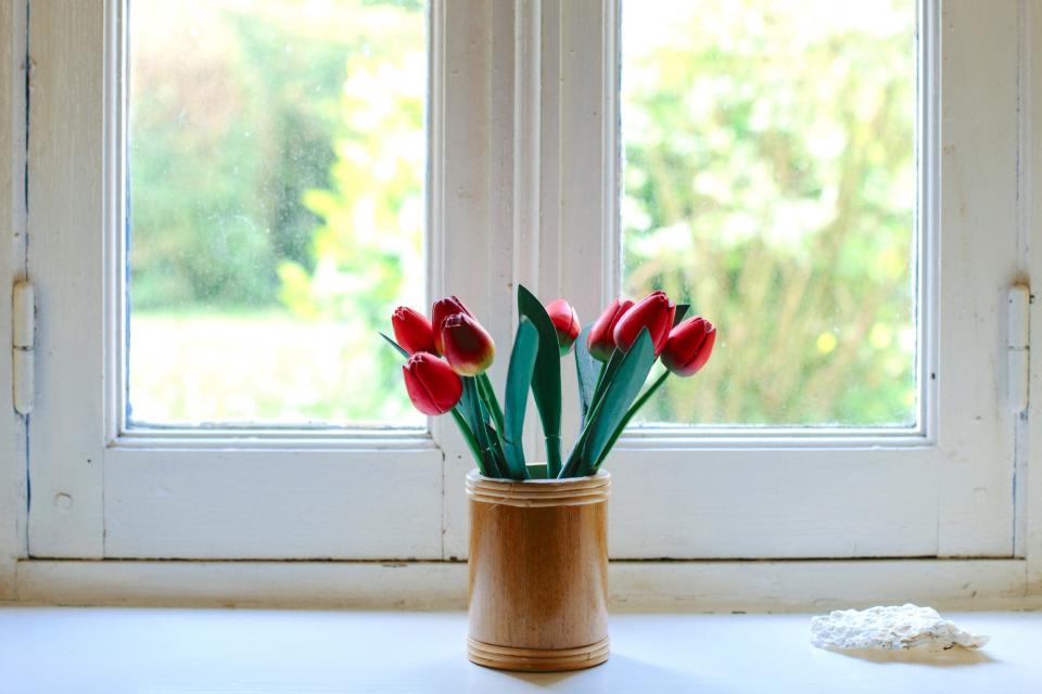 flowers, rose, windows, white, red, aesthetics, design, art