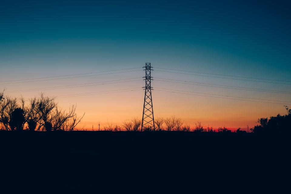 tree plant branch dark sunset sky silhouette transmission line electricity