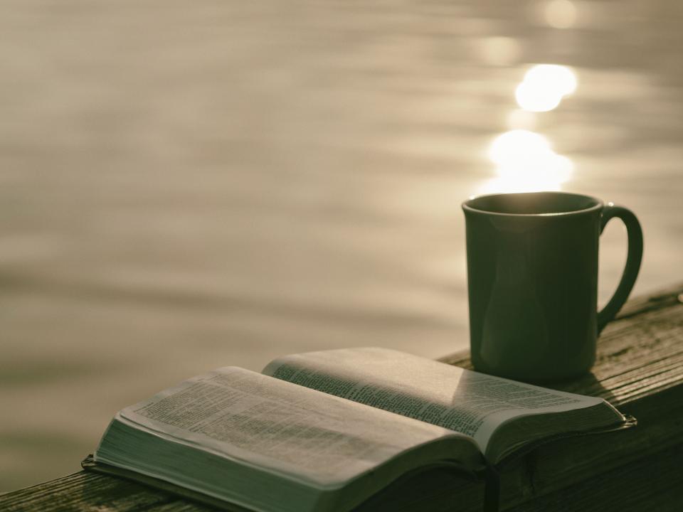 book pages sheet novel bible verses chapter cup coffee mug sun