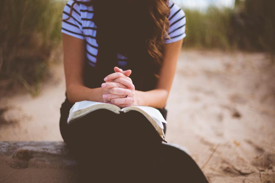 people, girl, alone, sitting, wood, reading, book, bible, blur