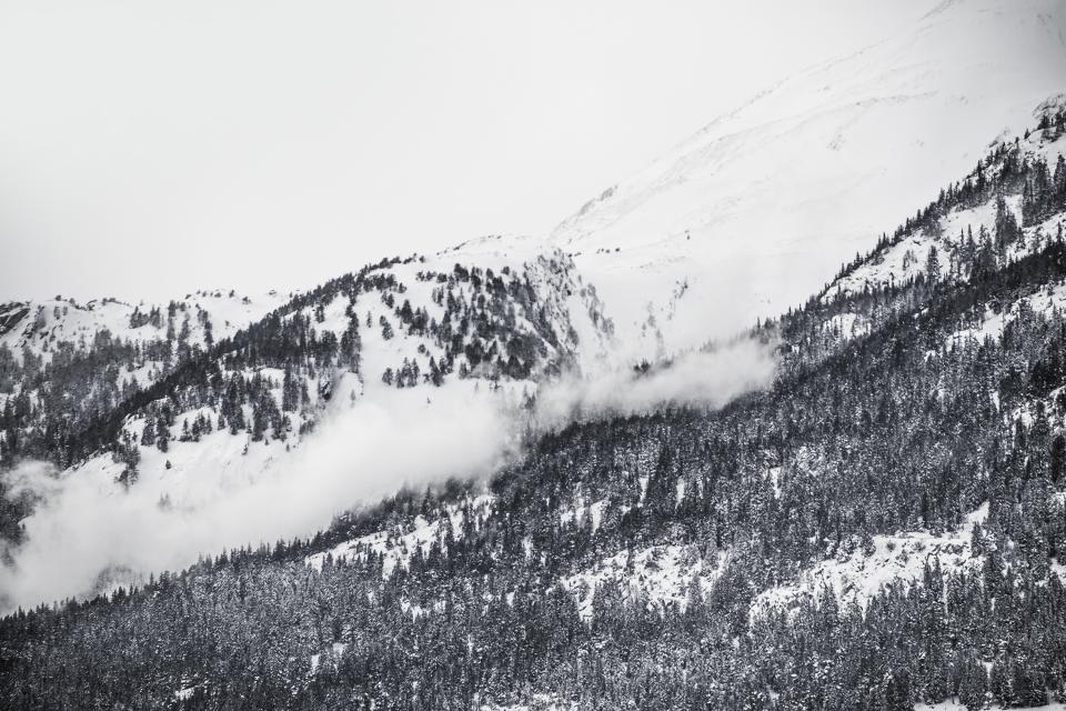 winter, snow, trees, forest, hills, mountains, black and white, landscape, nature