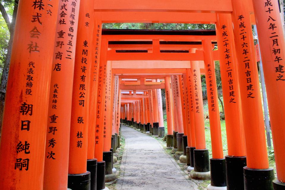 places, orange, pillars, walkway, japanese, torii Stock Image