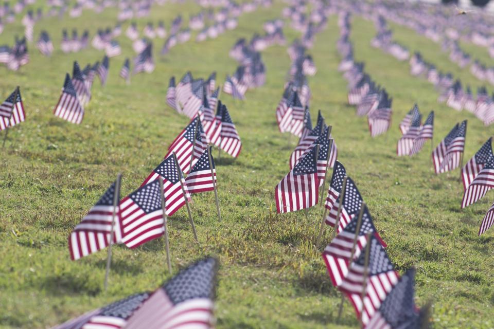 american flags USA United States grass field