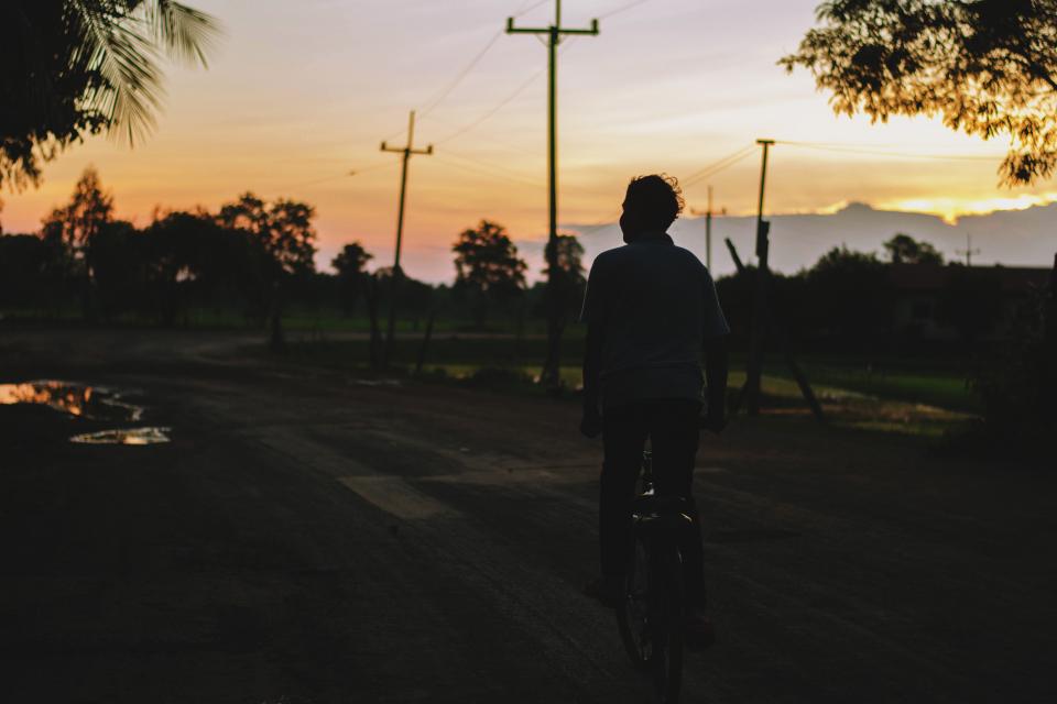 people, man, riding, bike, bicycle, nature, street, dark, sunset, tree, plant