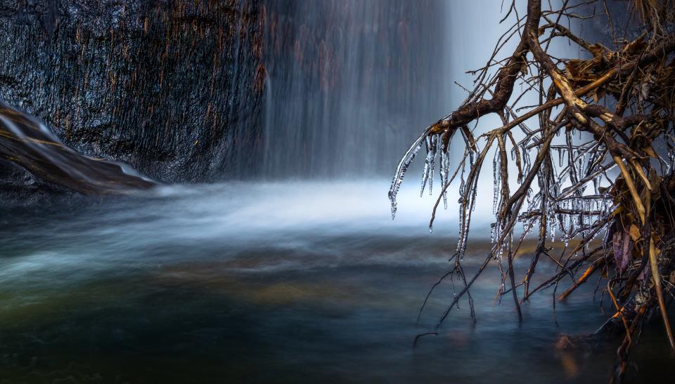waterfalls nature roots nature tree plants travel