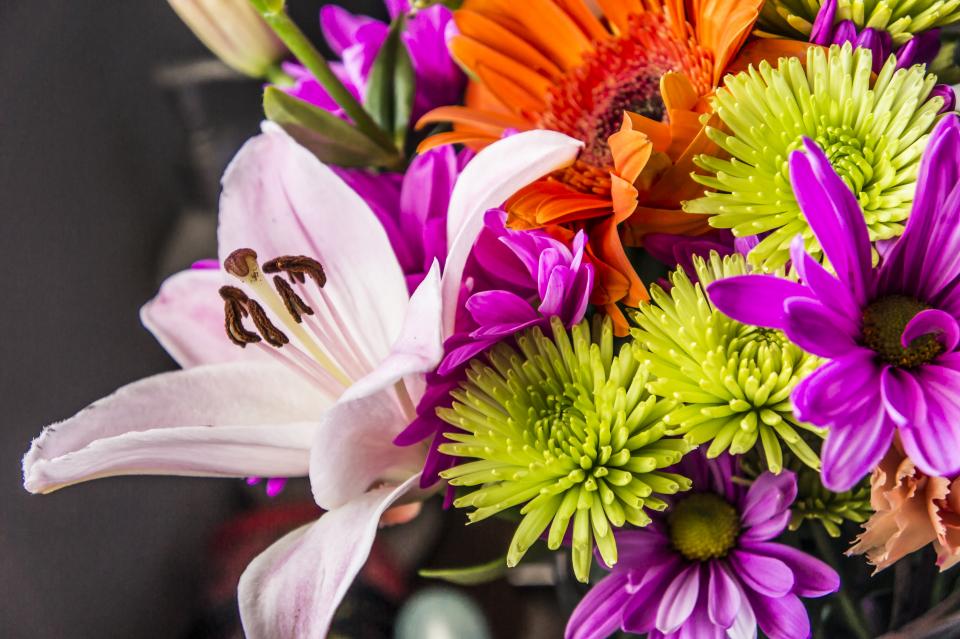 bouquet, flowers, colors, colours - Stock Image - Everypixel