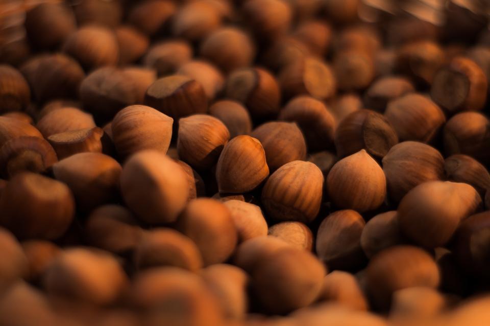 hazelnuts food